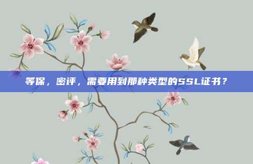 等保，密评，需要用到那种类型的SSL证书？