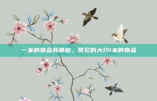 一米的物品有哪些，常见的大约1米的物品