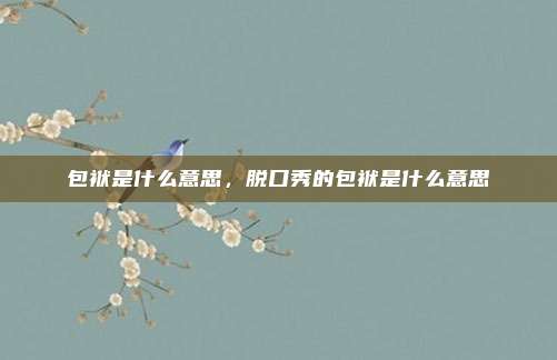包袱是什么意思，脱口秀的包袱是什么意思