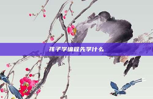 孩子学编程先学什么