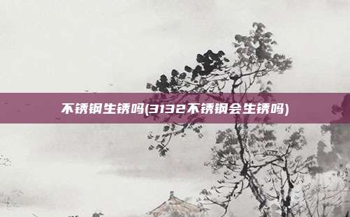 不锈钢生锈吗(3132不锈钢会生锈吗)