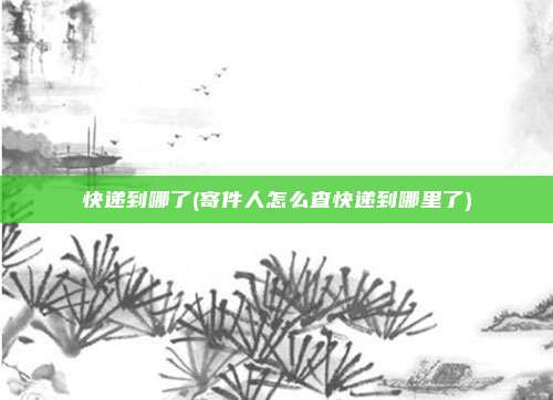 快递到哪了(寄件人怎么查快递到哪里了)