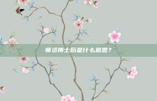 师资博士后是什么意思?