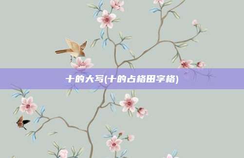 十的大写(十的占格田字格)