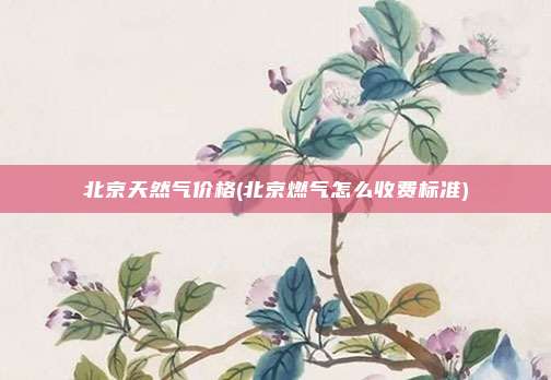 北京天然气价格(北京燃气怎么收费标准)