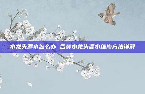水龙头漏水怎么办 各种水龙头漏水维修方法详解