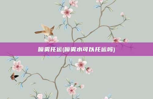 喷雾托运(喷雾水可以托运吗)