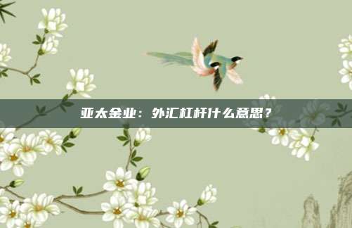 亚太金业：外汇杠杆什么意思？