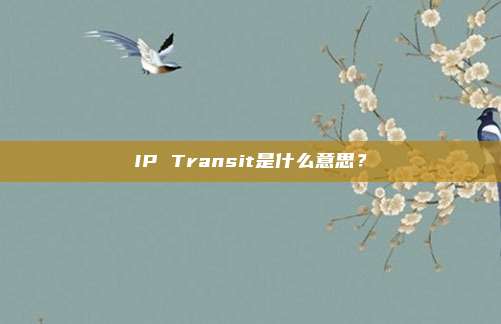 IP Transit是什么意思?