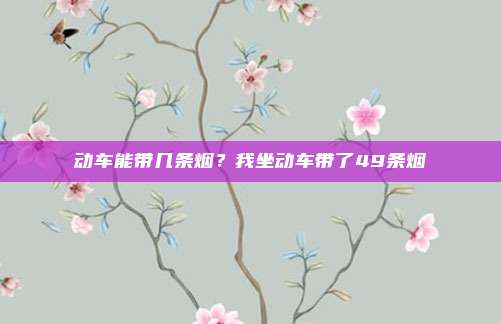 动车能带几条烟？我坐动车带了49条烟