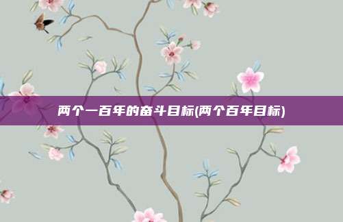 两个一百年的奋斗目标(两个百年目标)