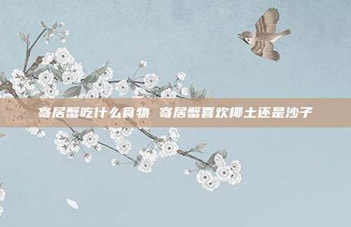 寄居蟹吃什么食物 寄居蟹喜欢椰土还是沙子
