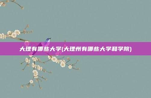 大理有哪些大学(大理州有哪些大学和学院)