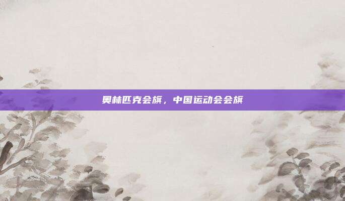 奥林匹克会旗,中国运动会会旗