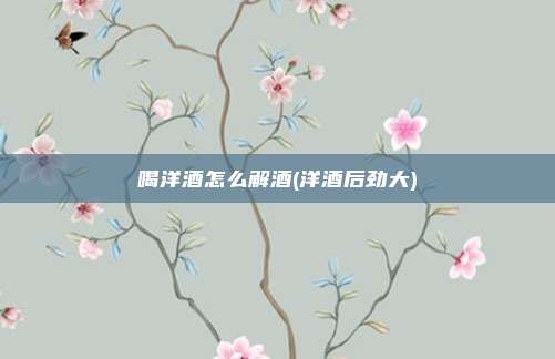 喝洋酒怎么解酒(洋酒后劲大)