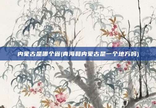 内蒙古是哪个省(青海和内蒙古是一个地方吗)