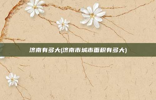 济南有多大(济南市城市面积有多大)
