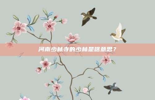 河南少林寺的少林是啥意思?