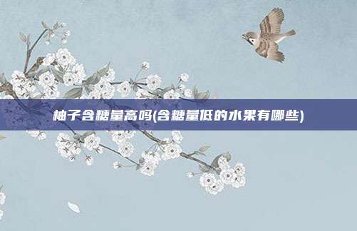 柚子含糖量高吗(含糖量低的水果有哪些)
