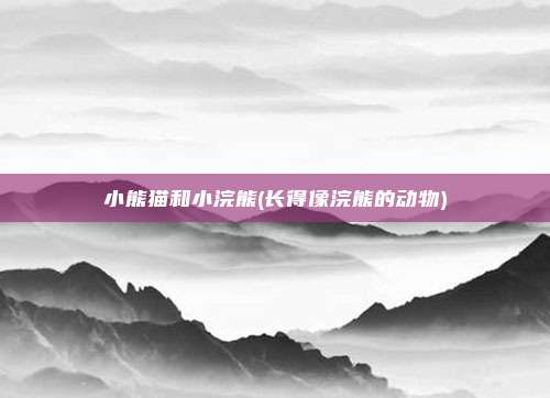 小熊猫和小浣熊(长得像浣熊的动物)