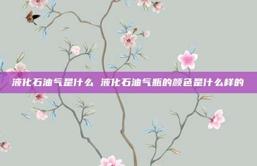 液化石油气是什么 液化石油气瓶的颜色是什么样的