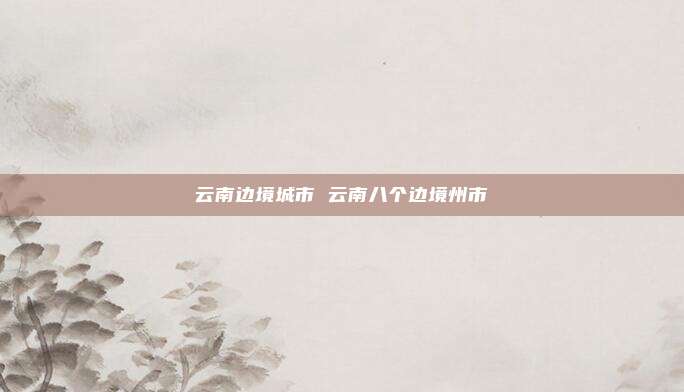 云南边境城市 云南八个边境州市