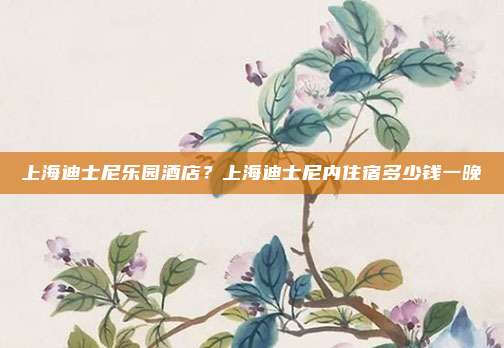 上海迪士尼乐园酒店？上海迪士尼内住宿多少钱一晚