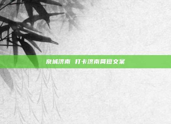 泉城济南 打卡济南简短文案