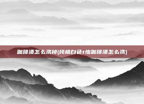 咖啡渍怎么洗掉(纯棉白色t恤咖啡渍怎么洗)
