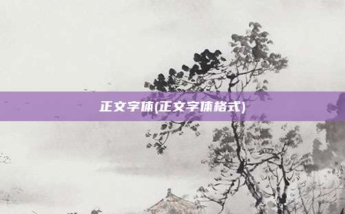 正文字体(正文字体格式)