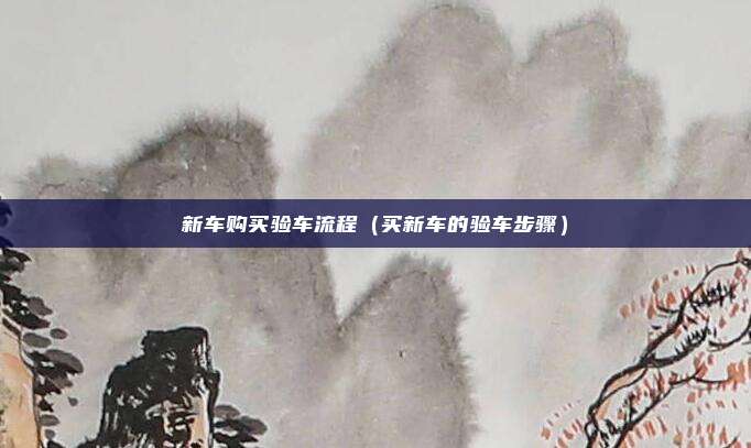 新车购买验车流程（买新车的验车步骤）