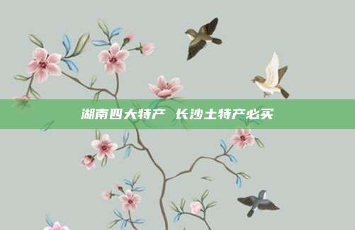 湖南四大特产 长沙土特产必买