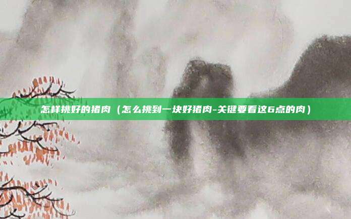 怎样挑好的猪肉（怎么挑到一块好猪肉-关键要看这6点的肉）