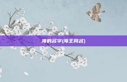 海的名字(海王网名)