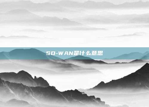 SD-WAN是什么意思