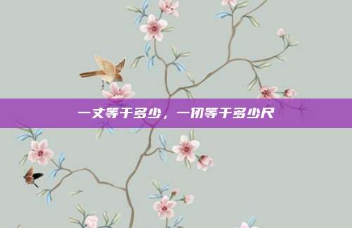 一丈等于多少，一仞等于多少尺