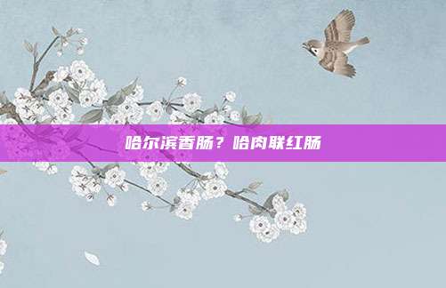 哈尔滨香肠?哈肉联红肠