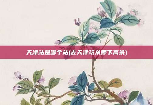 天津站是哪个站(去天津玩从哪下高铁)