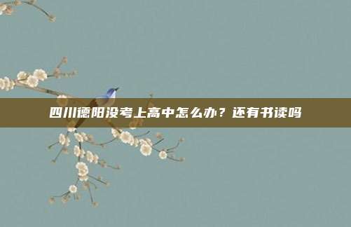 四川德阳没考上高中怎么办?还有书读吗
