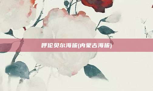 呼伦贝尔海拔(内蒙古海拔)