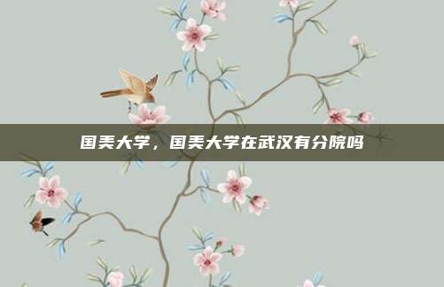 国美大学,国美大学在武汉有分院吗