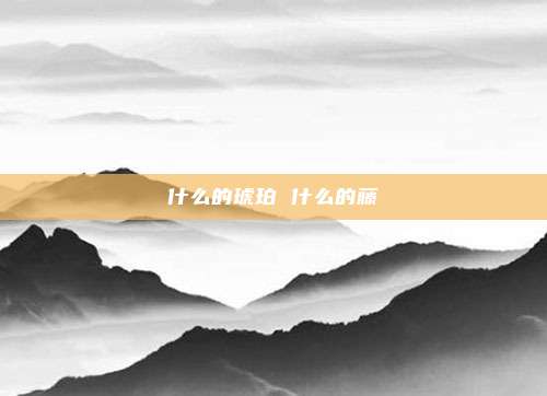 什么的琥珀 什么的藤