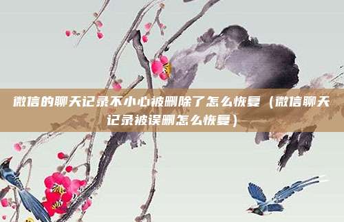 微信的聊天记录不小心被删除了怎么恢复（微信聊天记录被误删怎么恢复）