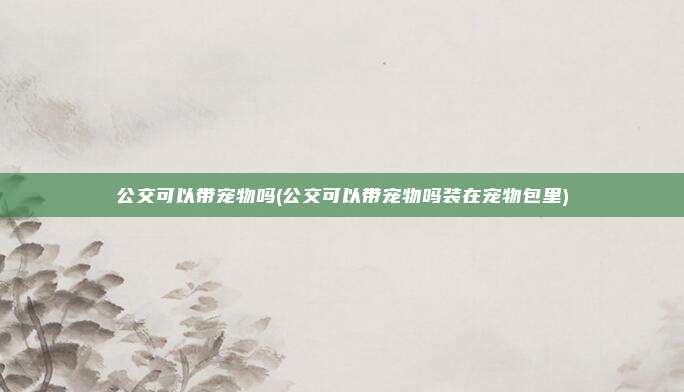 公交可以带宠物吗(公交可以带宠物吗装在宠物包里)