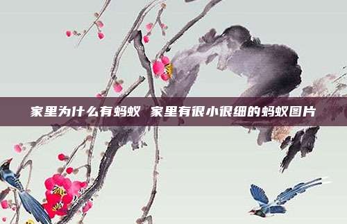 家里为什么有蚂蚁 家里有很小很细的蚂蚁图片