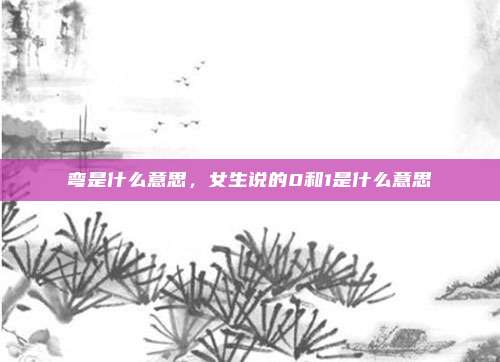 弯是什么意思,女生说的0和1是什么意思
