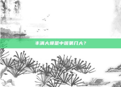 丰满大坝是中国第几大?