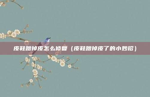 皮鞋蹭掉皮怎么修复（皮鞋蹭掉皮了的小妙招）