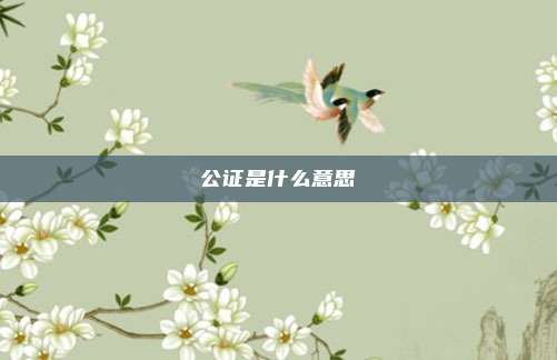 公证是什么意思