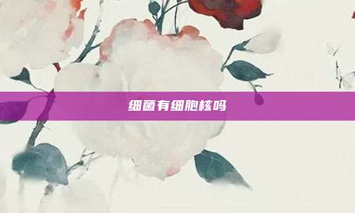 细菌有细胞核吗